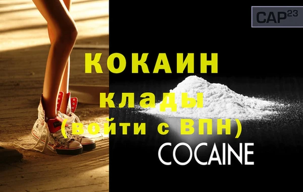 стаф Аркадак