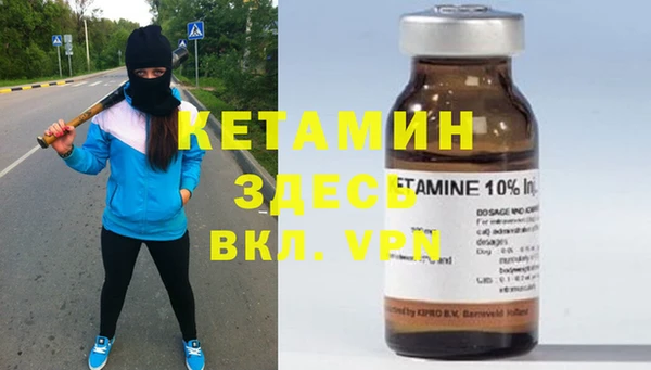 стаф Аркадак