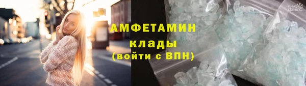 стаф Аркадак