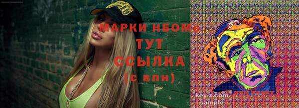 стаф Аркадак