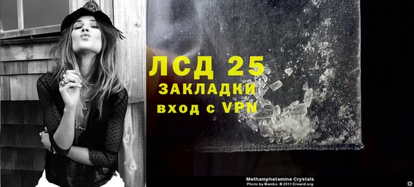 стаф Аркадак