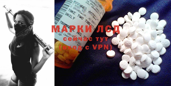 стаф Аркадак